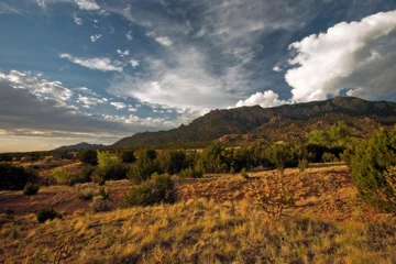 abq_shutterstock_290631062.jpg