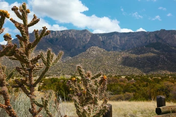 abq_shutterstock_52187260.jpg