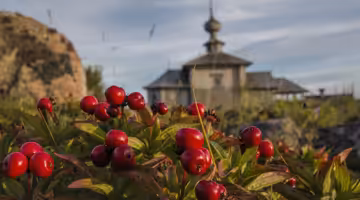 Letenky Arkhangel’sk