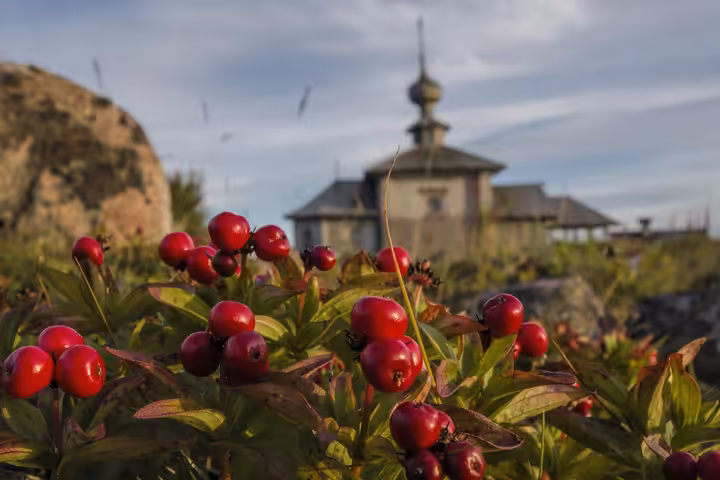 Arkhangel’sk — fotografie destinace