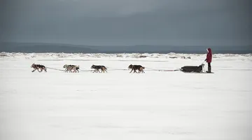 Letenky Arkhangel’sk