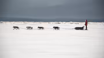 Letenky Arkhangel’sk