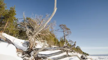 Letenky Arkhangel’sk