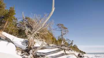 Letenky Arkhangel’sk