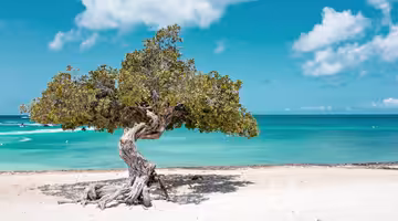 Letenky Aruba