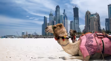 Letenky Dubaj