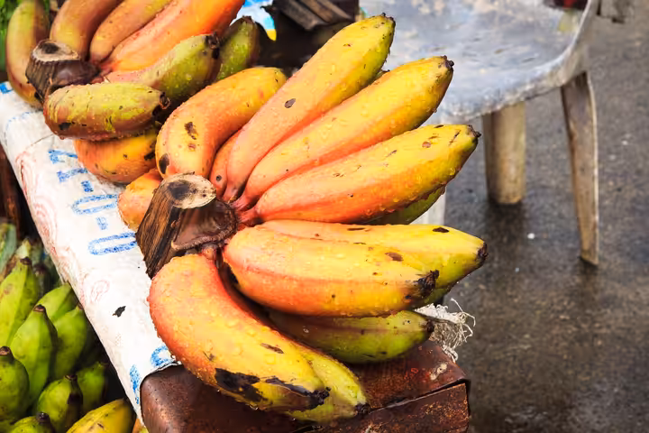 Honduras — fotografie destinace