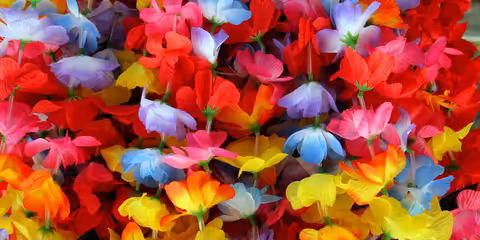 Lety Condor