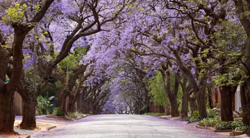 Letenky Johannesburg