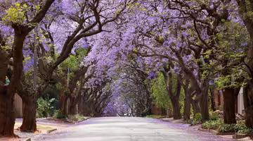 Letenky Johannesburg