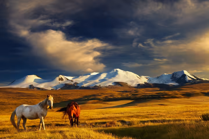 Mongolsko — fotografie destinace