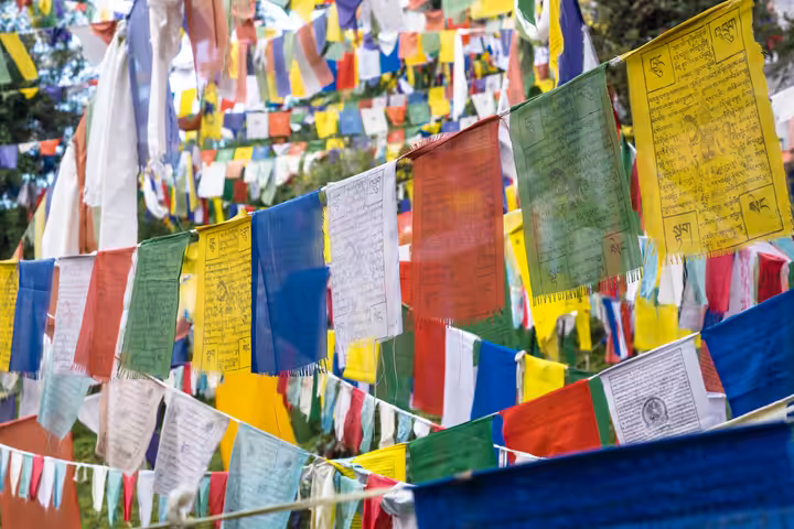 Paro — fotografie destinace