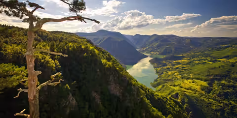 Lety Swiss International Air Lines