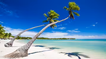 Letenky Suva
