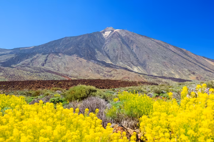 Tenerife — fotografie destinace