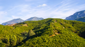 Letenky Tirana