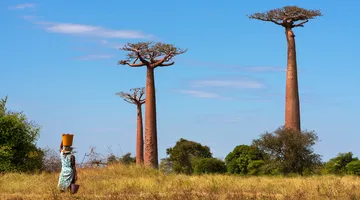 Letenky Antananarivo