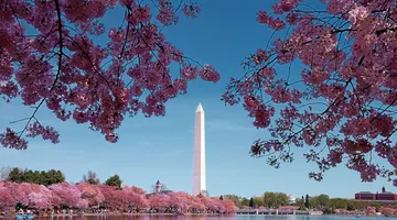 Letenky Washington, D.C.