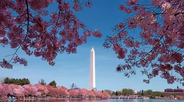 Letenky Washington, D.C.